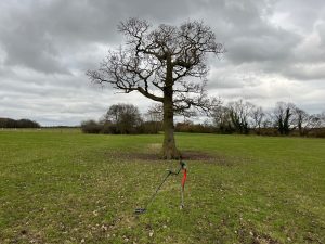 Where Can You Go Metal Detecting?