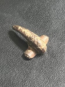 Tiny Roman Fibula Brooch Found Metal Detecting